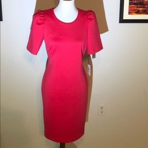 Pink CK midi dress with gold zippered back